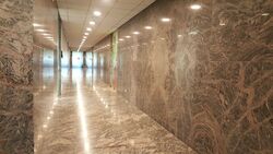 Orchard Building (D9), Office #546333221